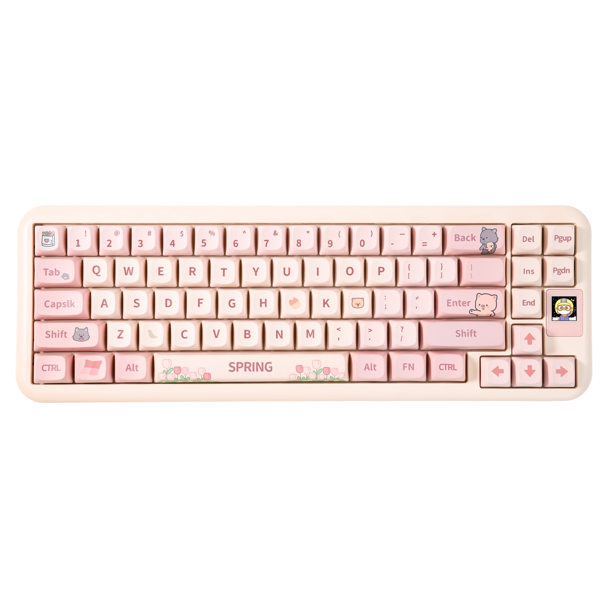 CoolKiller Wireless Gasket Mechanical Keyboard - Spring